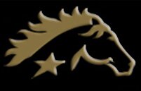 Gold_Star_Logo